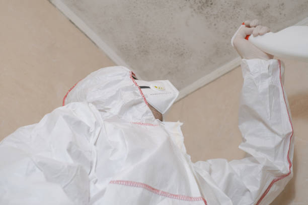 Best Bathroom Mold Remediation in Bexley, OH